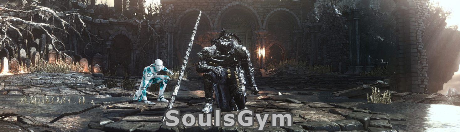 _images/soulsgym_banner.png